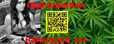 амфетамин Можга