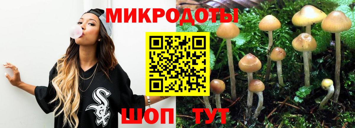 Ялуторовск  Галлюциногенные грибы мицелий  Вход с VPN  наркошоп  Галлюциногенные грибы Psilocybine cubensis 